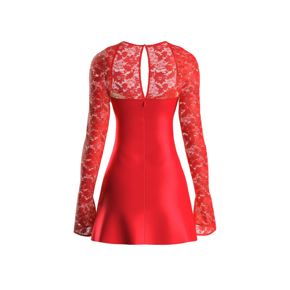 Red Lace Mini Dress